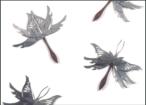 Butterfly Knives