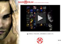 David Merlini website